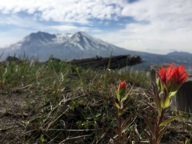 Portland: The Mt. St. Helens Adventure Tour - Live Tour Guide