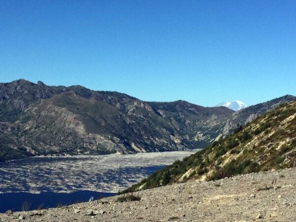 Portland: The Mt. St. Helens Adventure Tour - Common Questions