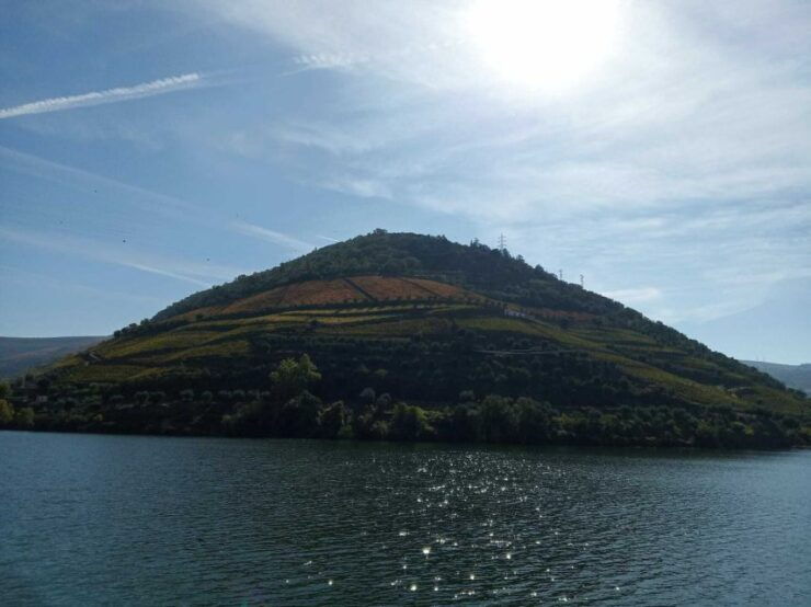 Porto: 2 Douro Valley Wineries Day Trip With River Cruise - Tour Duration and Language Options
