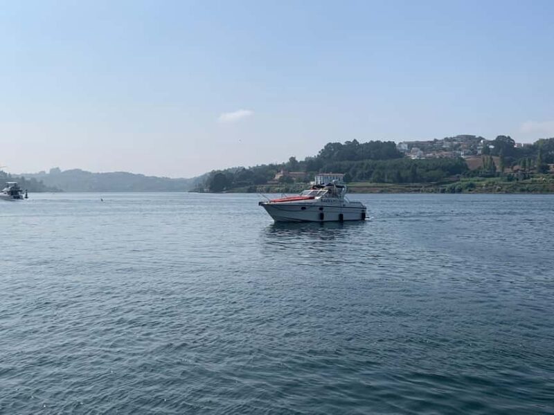 Porto: 2-Hour Boat Tour on the Douro River - Why This Tour Delivers Value