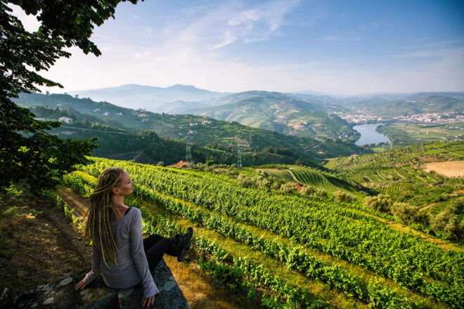 Porto: 2 Wines Regions, Breakfast, Chef Lunch, Boat Trip - Pricing and Booking