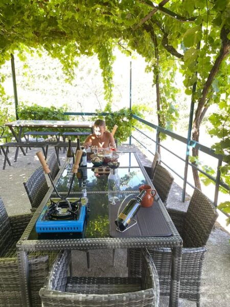 Porto: 2 Wines Regions, Breakfast, Chef Lunch, Boat Trip - Douro River Boat Trip