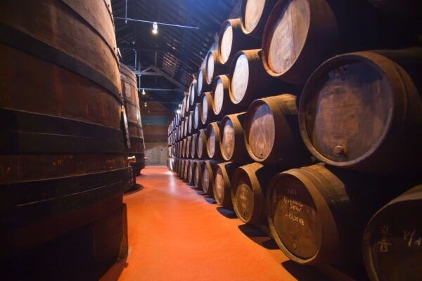 Porto: 24-Hour or 48-Hour Hop-On Hop-Off Bus Ticket - The Sum Up