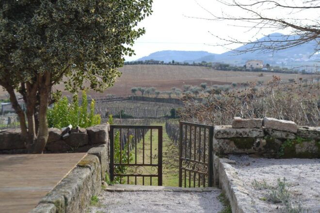 Porto: 3 Douro Valley Vineyards Tour With Lunch - Common Questions
