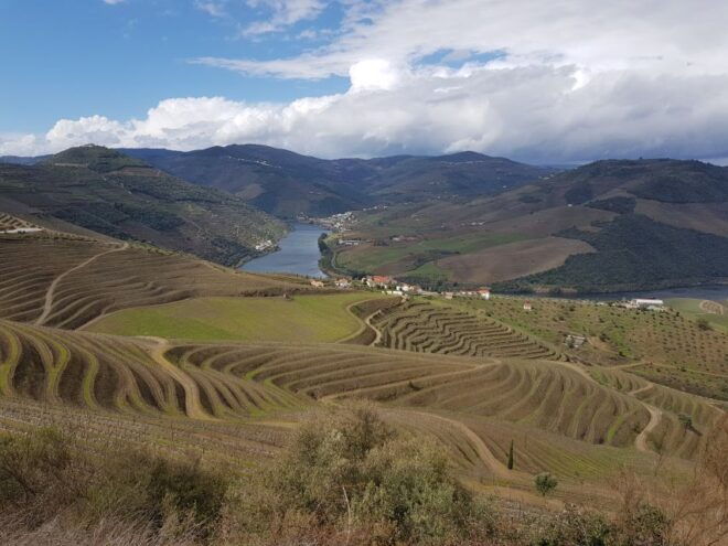 Porto: 3 Douro Valley Vineyards Tour With Lunch - The Sum Up