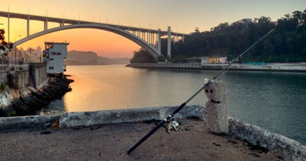 Porto: 3-Hour Bike Tour - Common Questions