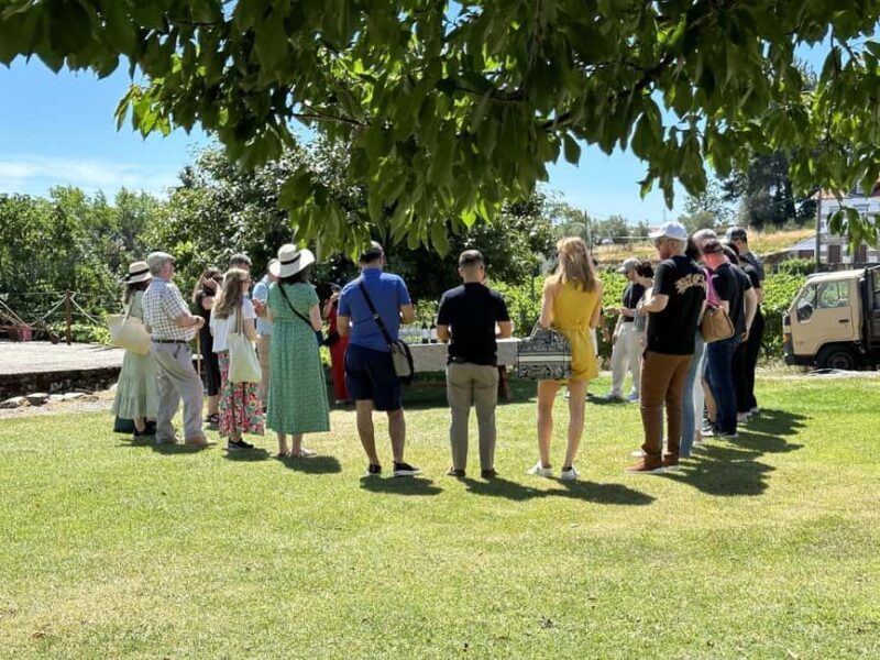 Porto: 3 Wine Regions & Farm Lunch with Views Small-Group - Analyzing the Tour’s Value