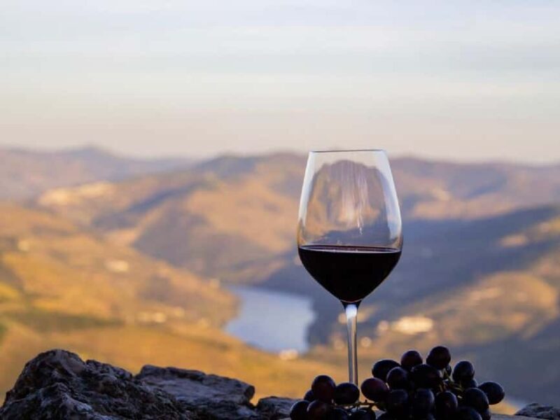 Porto: 3 Wine Regions & Farm Lunch with Views Small-Group - Who Will Appreciate This Tour?