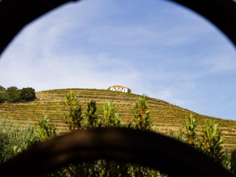 Porto: 3 Wine Regions & Farm Lunch with Views Small-Group - Final Thoughts