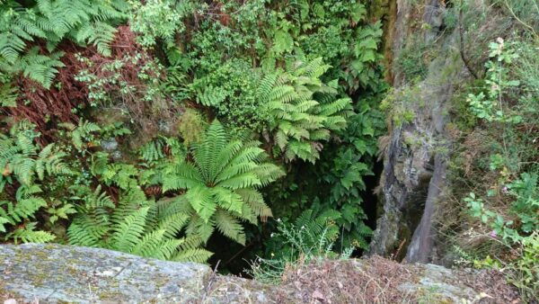 Porto: 4x4 Mountain Tour - Roman Mines and Photo Opportunities