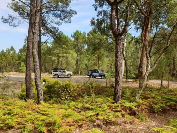 Porto: 4x4 Mountain Tour - Tranquility Along the River Ferreira