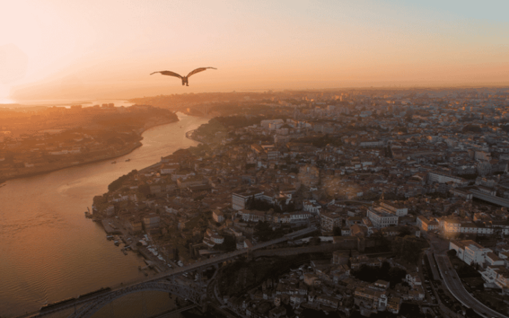 Porto: 5D Flight Over De City for All Family - Good To Know