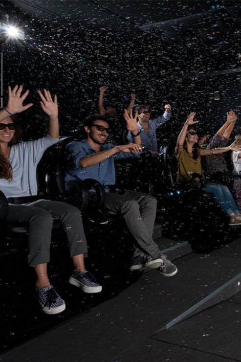 Porto: 5D Flight Over De City for All Family - Pricing and Discounts
