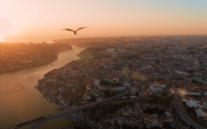 Porto: 5D Flight Over De City for All Family - Accessibility Information