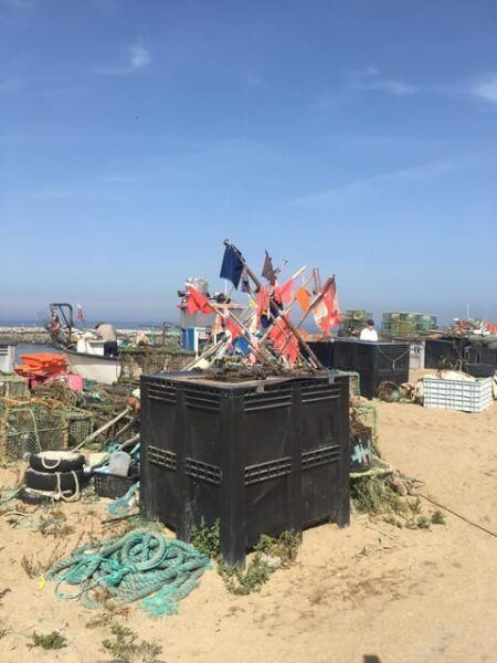 Porto and Secret Beach Artesanal Fishermans Village in 4x4 - Pricing and Booking