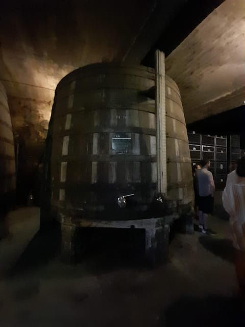 Porto ao Douro melhor experiência vinho e comida Portuguesa - What’s Included and Practical Details