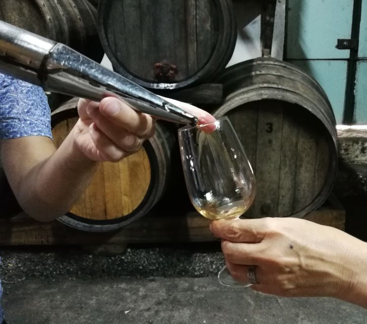 Porto: Authentic Private Douro Valley Tour - Tour Details