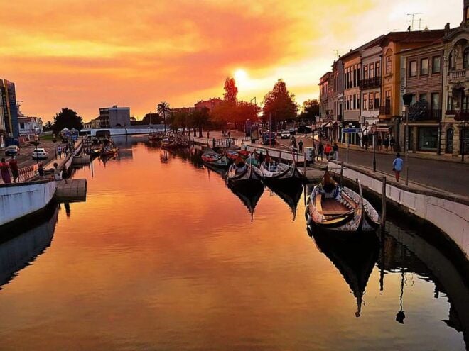 Porto: Aveiro & Coimbra Private Tour, With Bairrada Lunch - Lunch Options