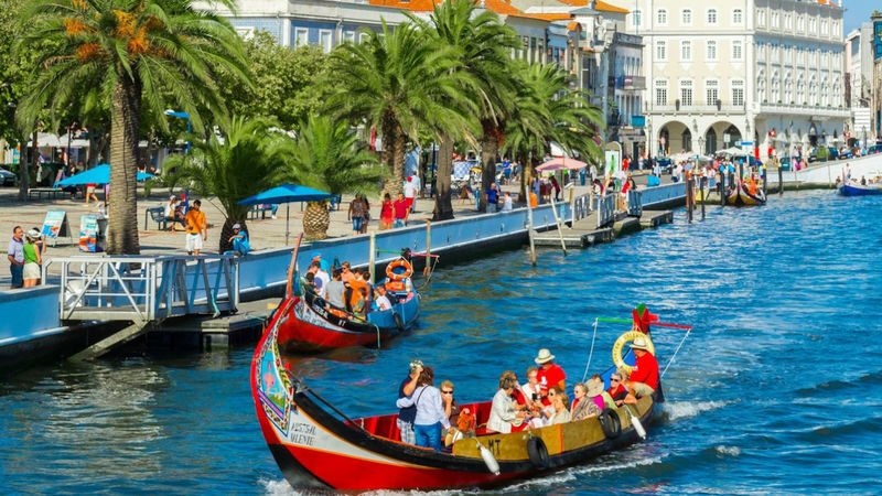 Porto Aveiro & Costa Nova Half-Day Walking Tour - What this half-day trip gives you