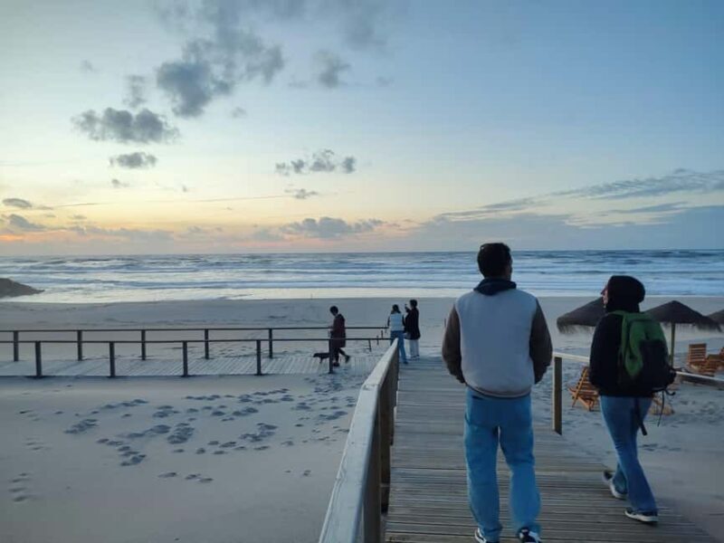 Porto: Aveiro Small-Group Half Day Tour - Good To Know