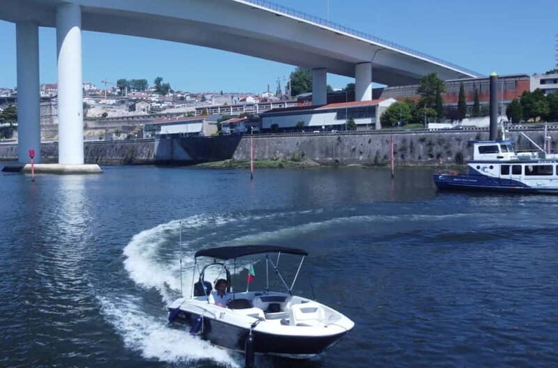 Porto: Boat Cruise with Port Wine Tasting - Port Wine Tasting and Food Pairings