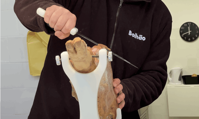 Porto: Bolhão Market Guided Food Tour - Practical Details That Matter