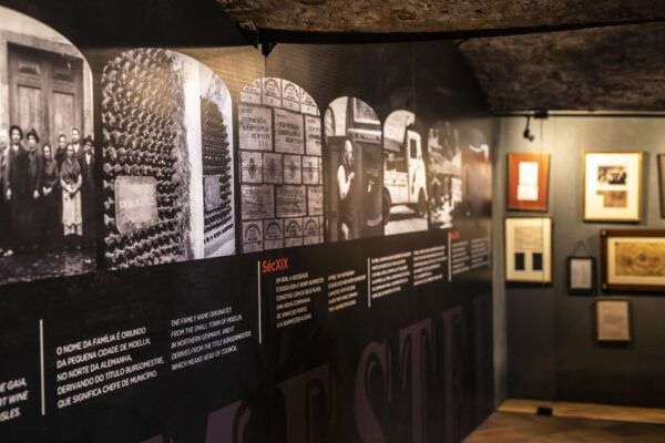 Porto: Burmester Cellar Tour With Tasting & Pairing Options - Common Questions