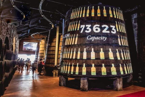 Porto: Cálem Cellar Tour, Fado Show & Wine Tasting - The Sum Up