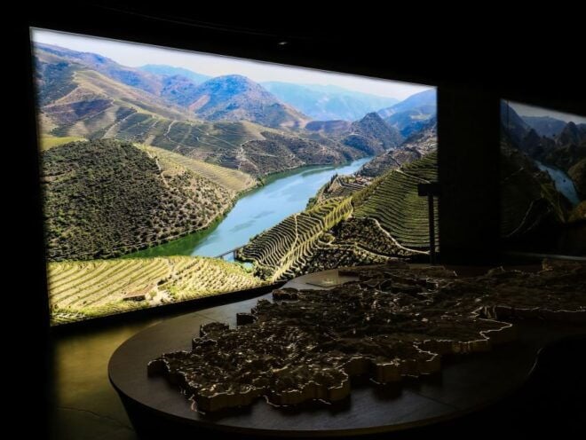 Porto: Cálem Cellar With Chocolate, Cheese, and Wine Tasting - Common Questions