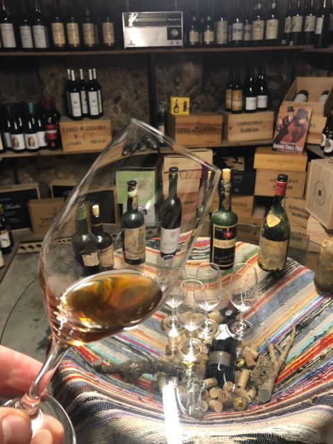 Porto: Cheese and Port Wine Tasting in a Unique Place - Discover Portuguese Cheese Varieties