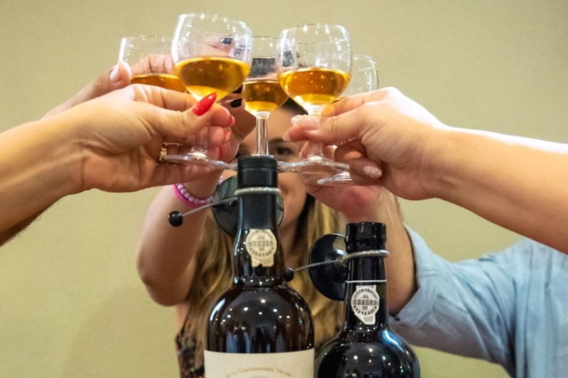 Porto City Center & Cathedral Half-Day Tour with Wine Tasting - What this Porto tour is really offering