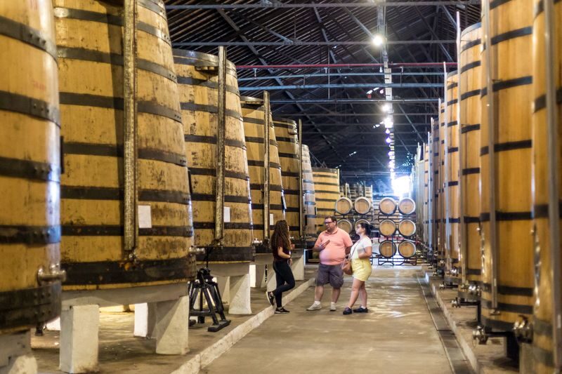 Porto City Center & Cathedral Half-Day Tour with Wine Tasting - At the cellar: a short lesson and two pours