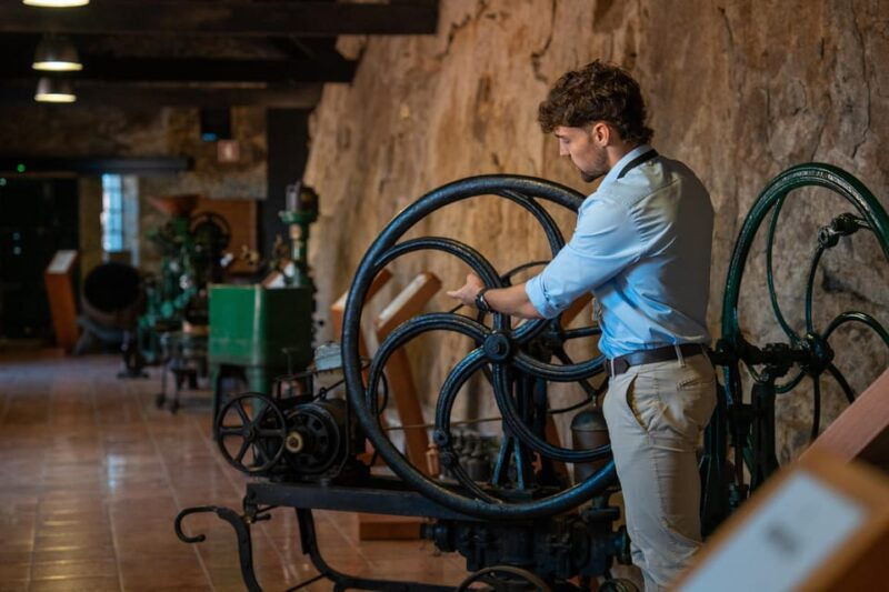 Porto City Full Day Minibus Tour, Wine Tasting & Six Brigdes - What Makes This Tour Stand Out?