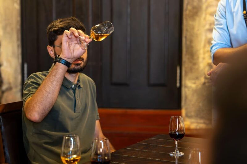 Porto City Full Day Minibus Tour, Wine Tasting & Six Brigdes - Practical Details and What to Expect