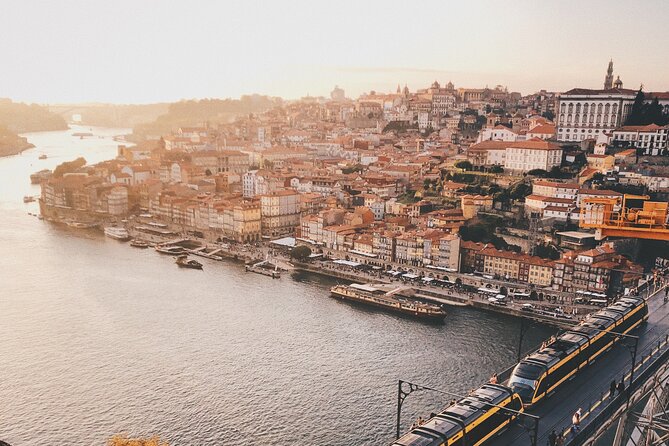 Porto City Full Day Private Tour - Itinerary Highlights