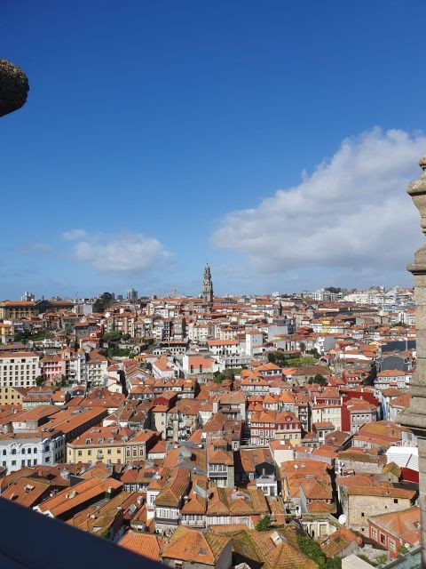 Porto City Half-Day Private Tour - Itinerary