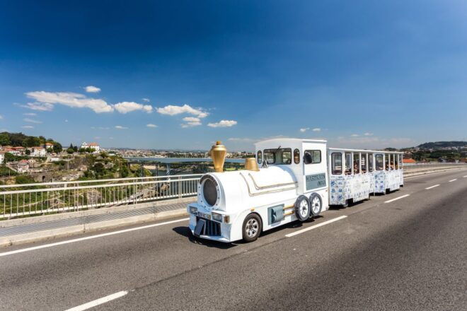 Porto: City Train Tour, River Cruise & Wine Cellar - Inclusions