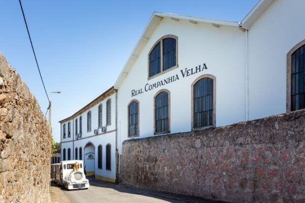 Porto: City Train Tour, River Cruise & Wine Cellar - The Sum Up