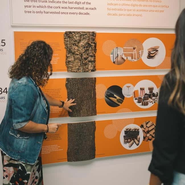 Porto: Cork Museum: Immersive and Perfect for Families - What Visitors Are Saying