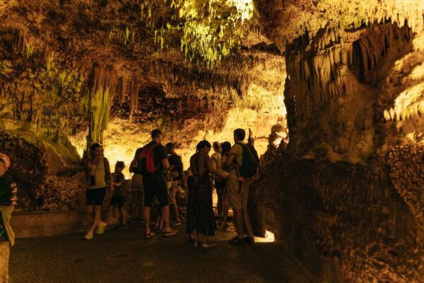 Porto Cristo: Caves of Hams Entry Ticket - The Sum Up