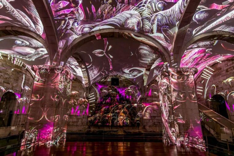 Porto: Dali Cybernetics Exhibit Entry Ticket - Frequently Asked Questions