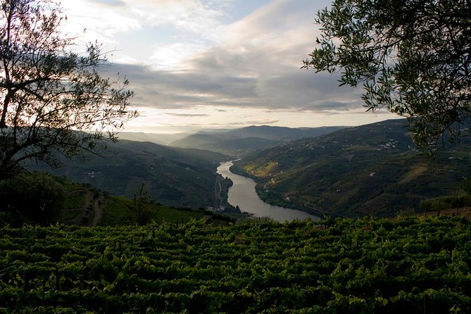 Porto: Day Trip to Douro Including Lunch and Rivercruise - Reviews