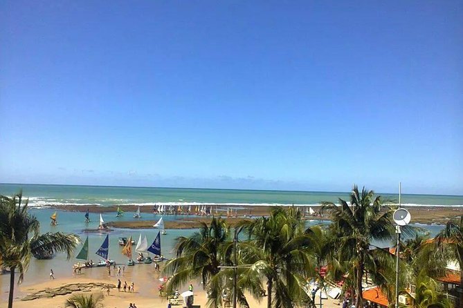 Porto De Galinhas Tour From Maragogi by Top Tours - Good To Know