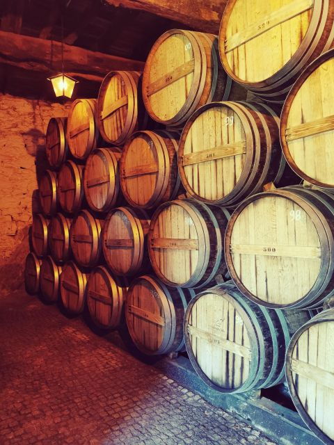 Porto & Douro: Nature, Lunch, Wine Tasting, Boat Tour - Gastronomic Delights in Douro