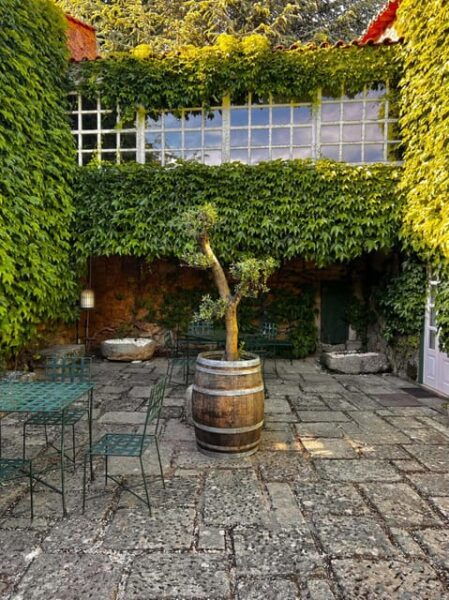 Porto: Douro Valley 2 Estates + Wine Tasting - Tour Guide and Accessibility