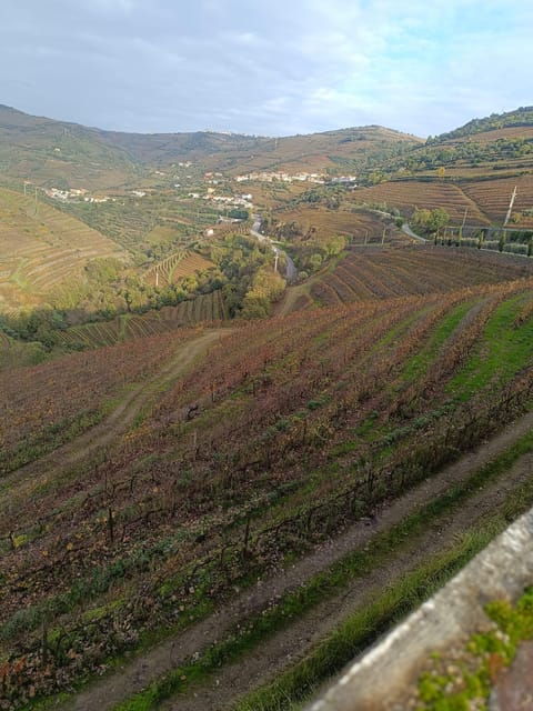Porto: Douro valley 2 farms with wine tasting and lunch - Exploring Pinhão: A Charming Stop