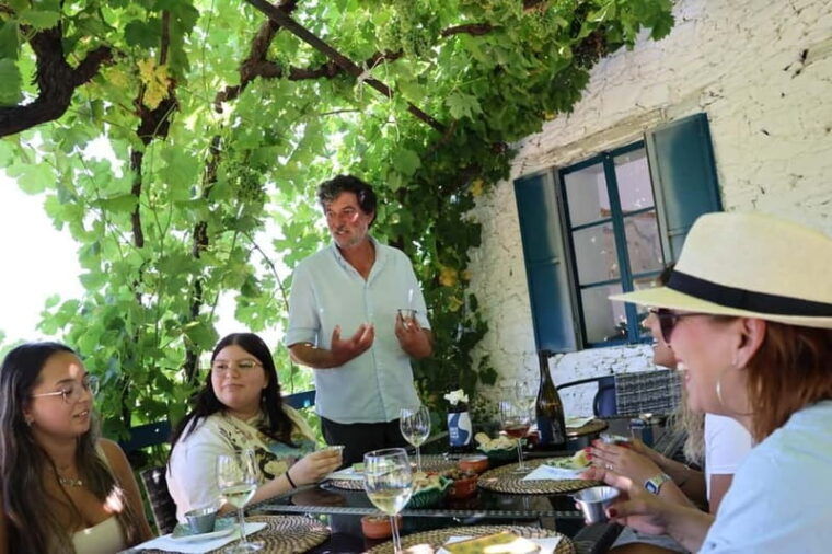 Porto: Douro Valley, 2 Wineries, Lunch, and 1-Hour Boat Tour - Who Should Consider This Tour?