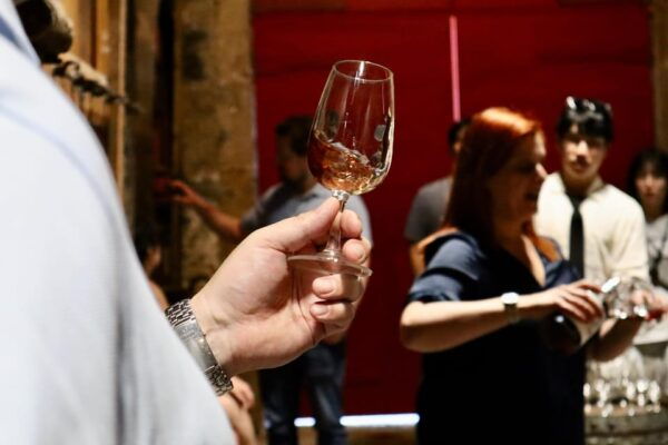 Porto: Douro Valley, 2 Wineries, Lunch & Private Boat Trip - Winery Visit and Wine Tastings