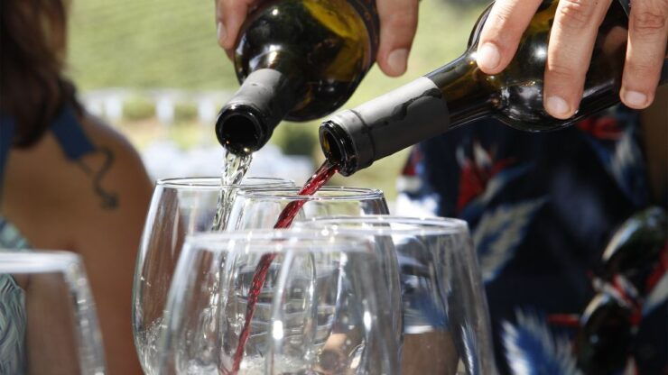 Porto: Douro Valley: an Authentic Wine Experience With Lunch - Tour Details