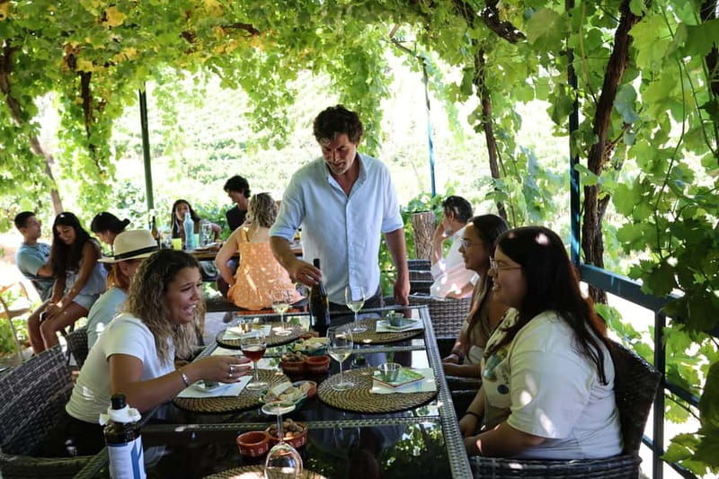 Porto: DOURO VALLEY and AMARANTE City Half-day Tour - The Sum Up